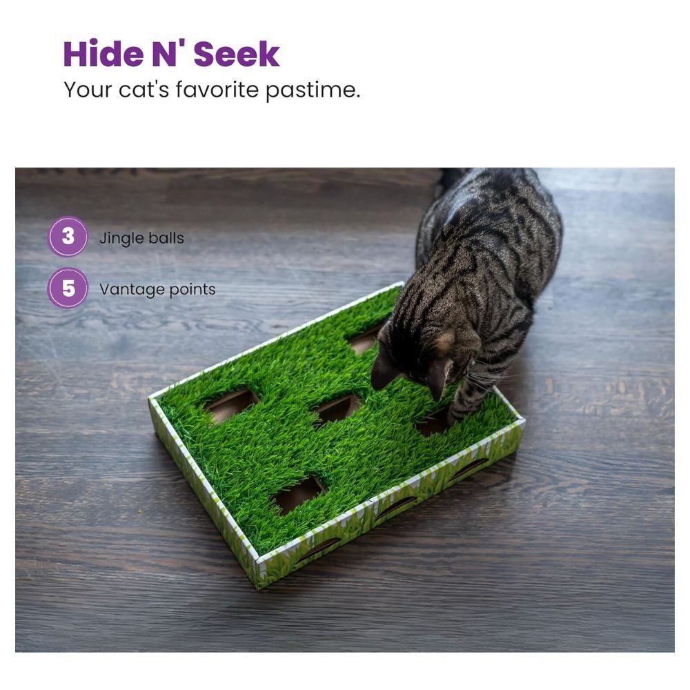 Petstages Grass Patch Hunting Box Interactive Cat Toy