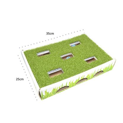 Petstages Grass Patch Hunting Box Interactive Cat Toy