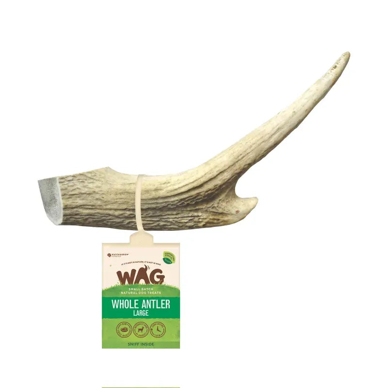 Wag Antler Whole Large