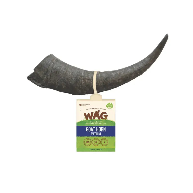 Wag Goat Horn Medium