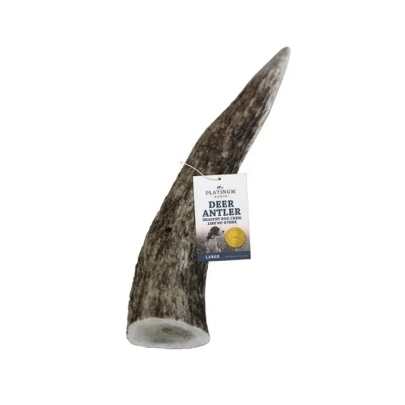 Platinum Ranch Large Deer Antler Single