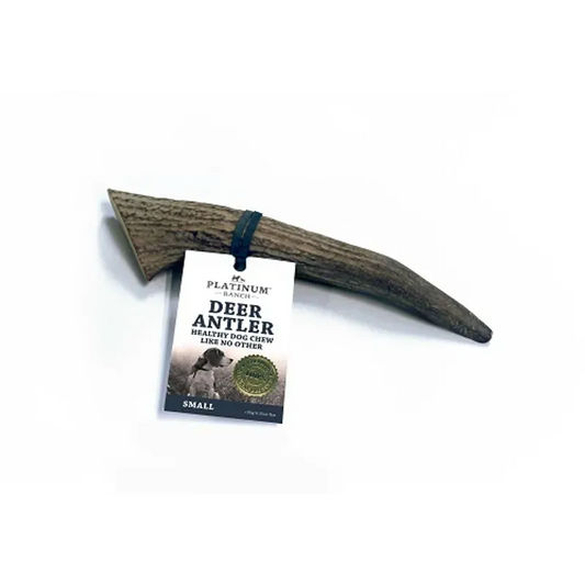 Platinum Ranch Small Deer Antler Single