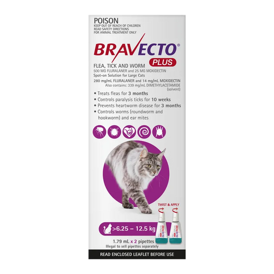 Bravecto Plus Cat Lrg 6.25Kg - 12.5Kg Purple (2Pk)