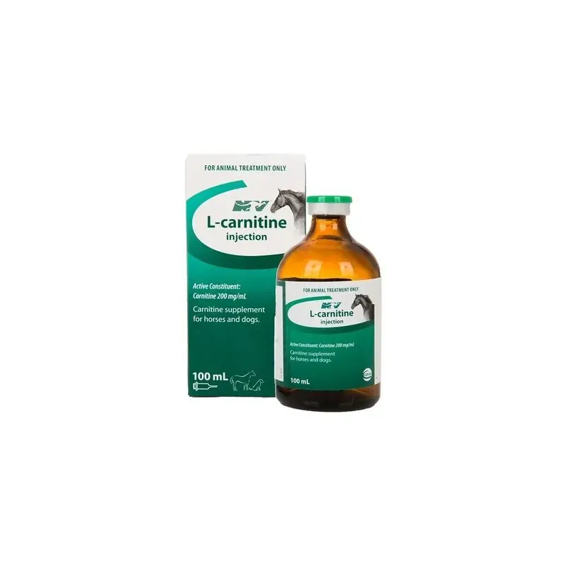 Ceva L-Carnitine 100Ml