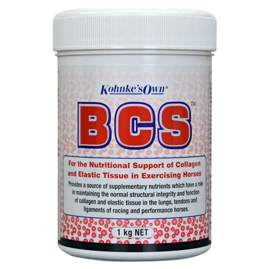 Kohnke Bcs 1Kg