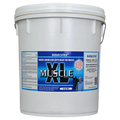 Kohnke Muscle Xl 10Kg