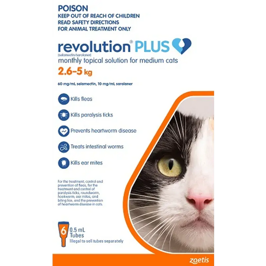 Revolution Cat Plus Medium Cat 6Pk 2.5-5Kg