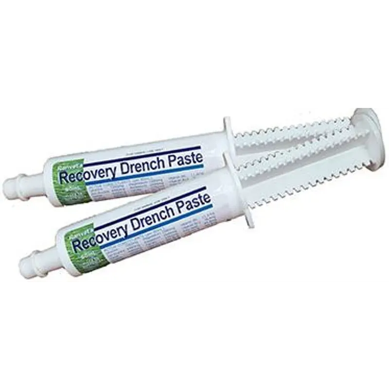 Ranvet Recovery Aid Paste 80Ml