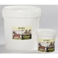 Stay Sound DMG 3kg