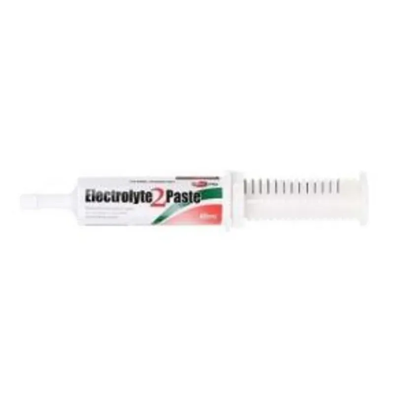 Value Plus Electrolyte 2 Paste 60Ml