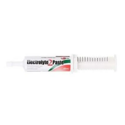 Value Plus Electrolyte 2 Paste 60Ml