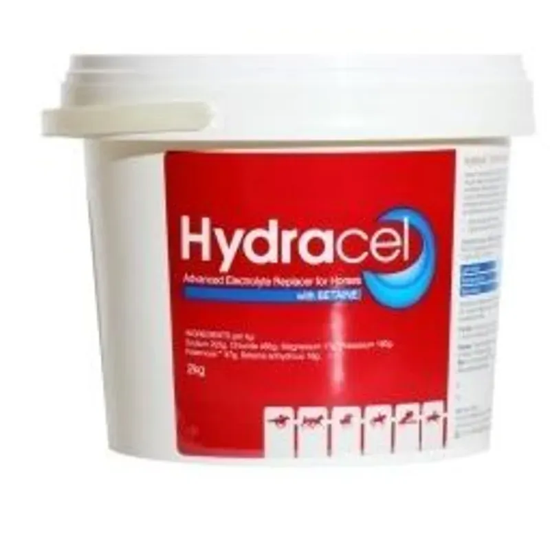 Value Plus Hydracel Electrolyte 2Kg
