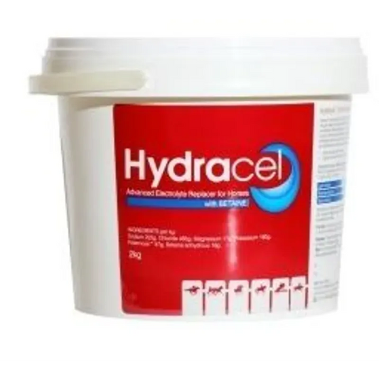 Value Plus Hydracel Electrolyte 2Kg