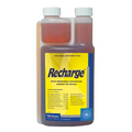 Virbac Recharge Horse 1L