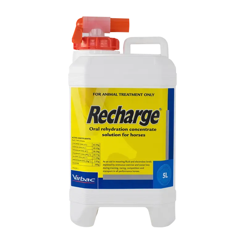 Virbac Recharge Horse 5L