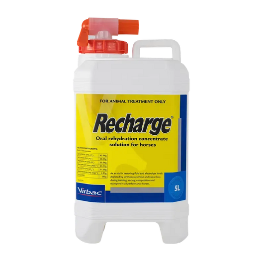 Virbac Recharge Horse 5L