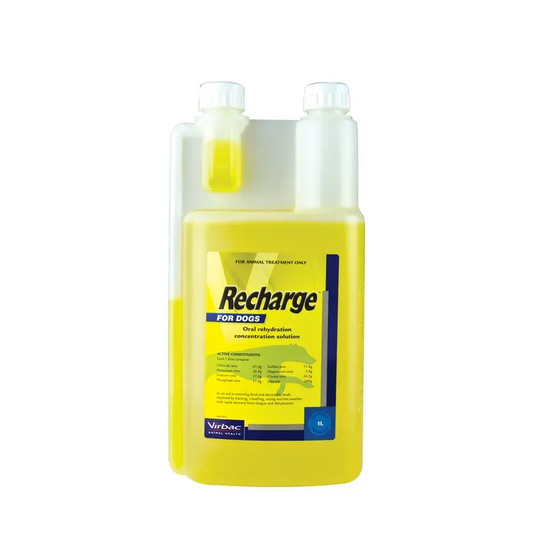 Virbac Recharge For Dogs 1L