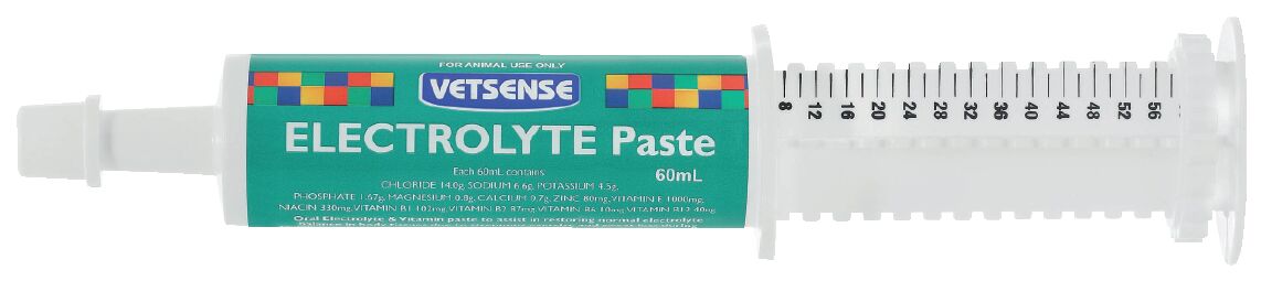 Vetsense Electrolyte Paste Pro 60Ml