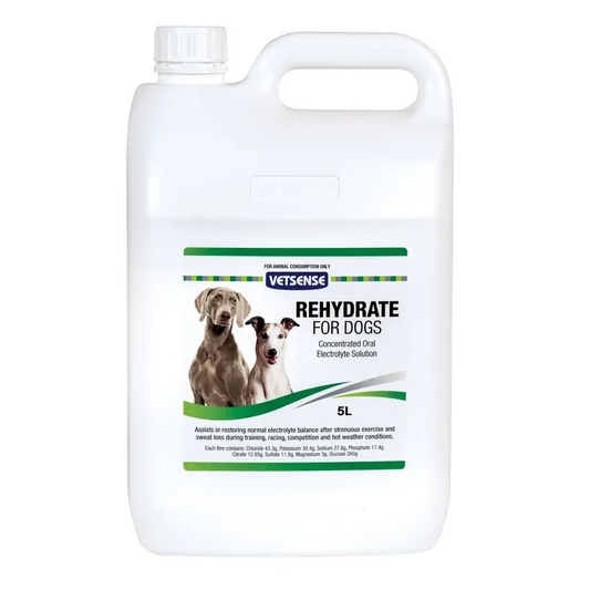 Vetsense Rehydrate Greyhound 5L