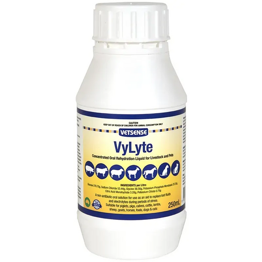 Vetsense Vylyte 250Ml