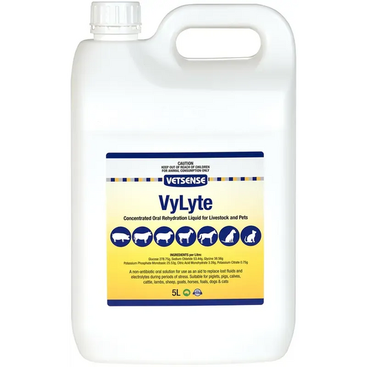 Vetsense Vylyte 5L
