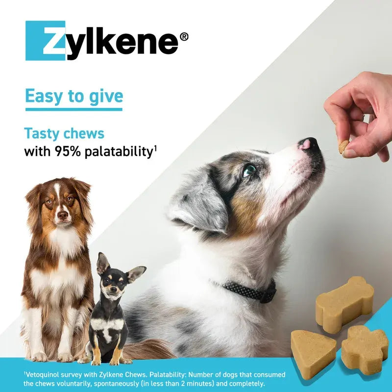 Zylkene Chews 450Mg - Up To 60Kg