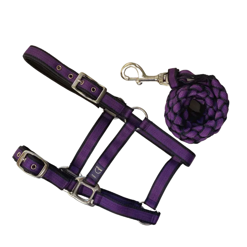 Anipal Autumn Lilac Comfort Halter & Lead Set Pony