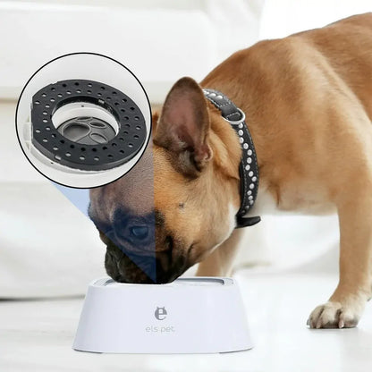 All Fur You Filters For 2L & Diamond Spill Proof Bowl