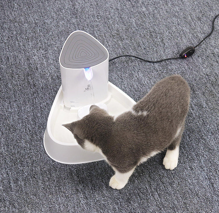 All Fur You Seashell Water Fountain