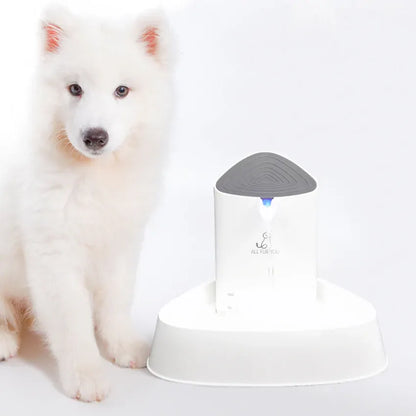 All Fur You Seashell Water Fountain