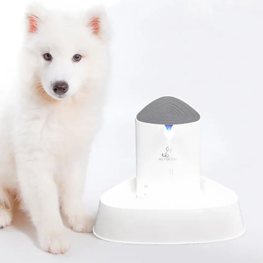 All Fur You Seashell Water Fountain