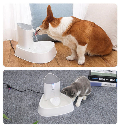 All Fur You Seashell Water Fountain