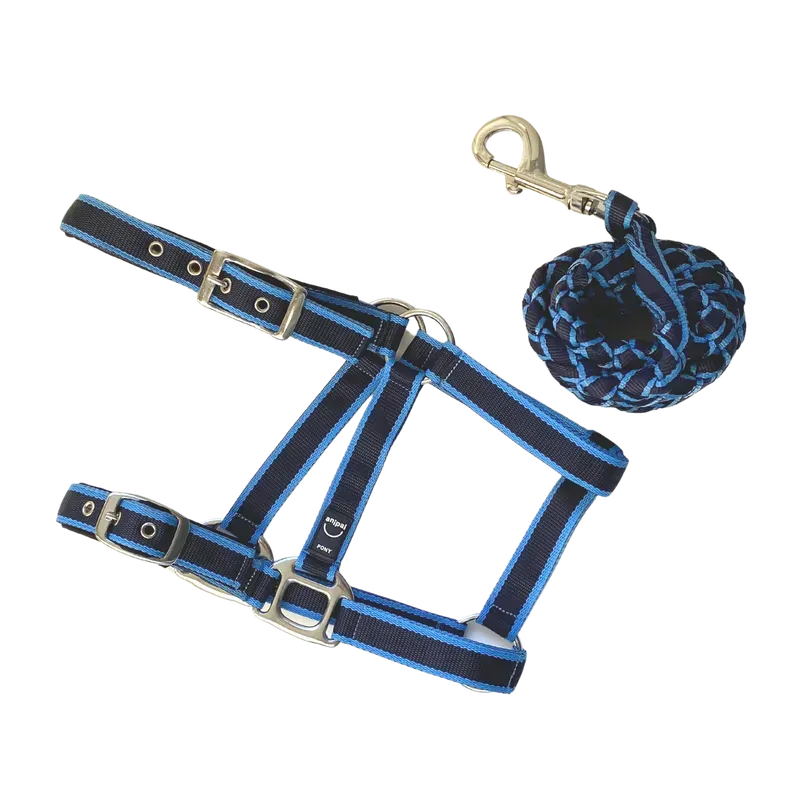 Anipal Pacific Ocean Comfort Halter & Lead Set Cob