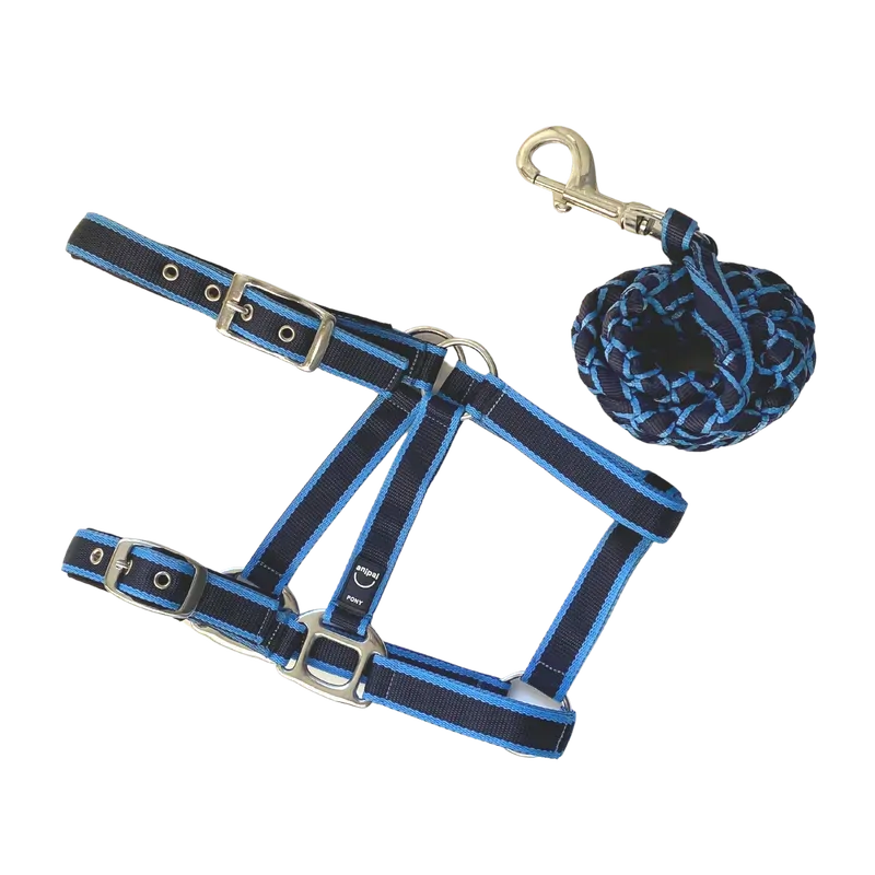 Anipal Pacific Ocean Comfort Halter & Lead Set Full