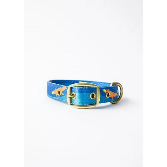 Anipal Piper The Platypus Dog Collar Small
