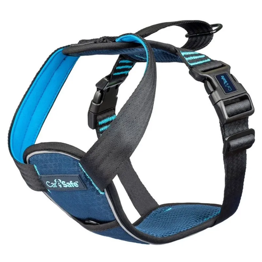 Carsafe Crash Tested Harness Blue Medium