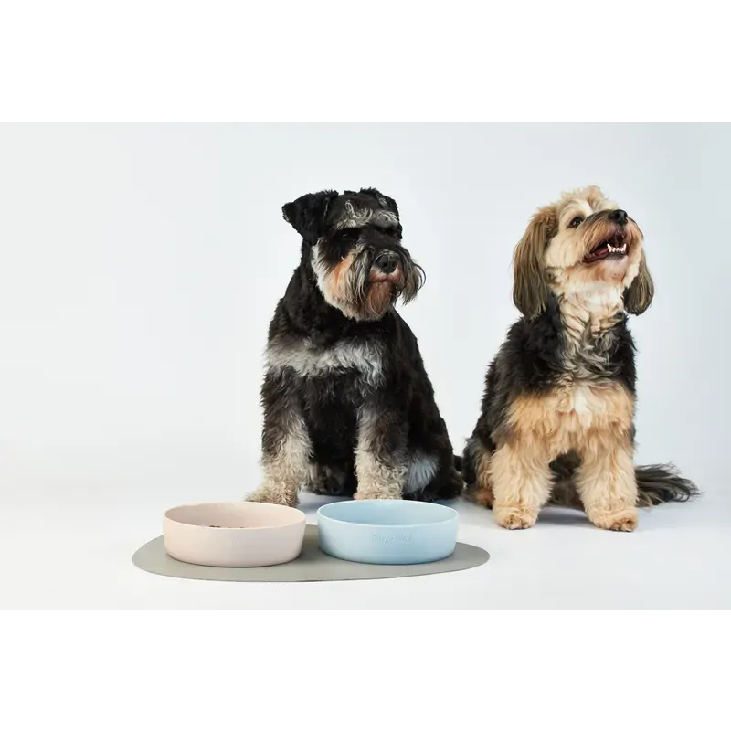 Lilly + Dash Pet Bowl Cloud Large 1.75L