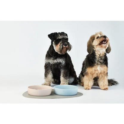 Lilly + Dash Pet Bowl Cloud Large 1.75L