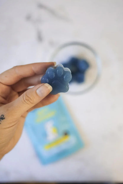 Raw Pawz Immunity Diy Gummies 90G