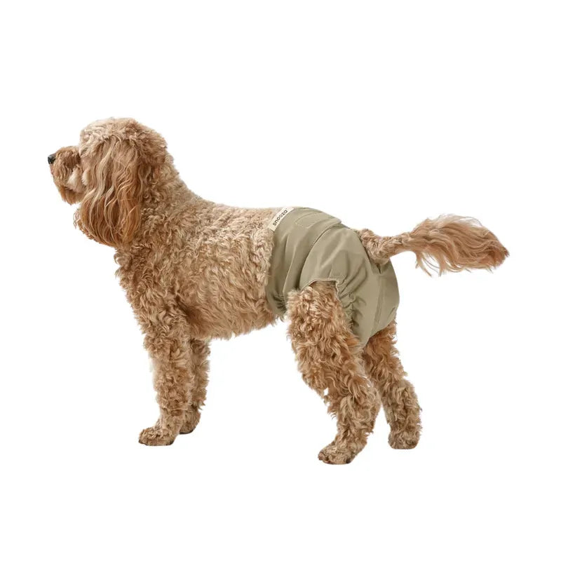 Snooza Washable Dog Nappy Pant Female Dogs Olive Size L 2Pk