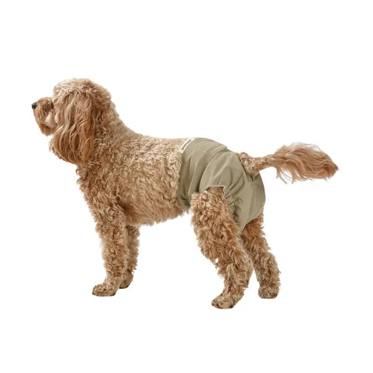 Snooza Washable Dog Nappy Pant Female Dogs Olive Size M 2Pk