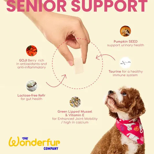 Wonderfur Dog Bites Senior Support Goji Berry 50G