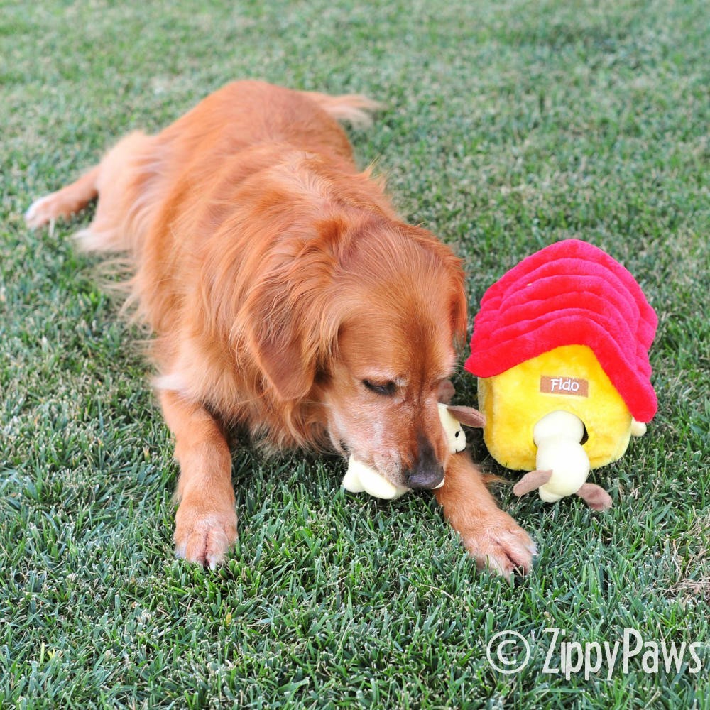Zippy Burrow - Dog House XL by Zippy Paws
