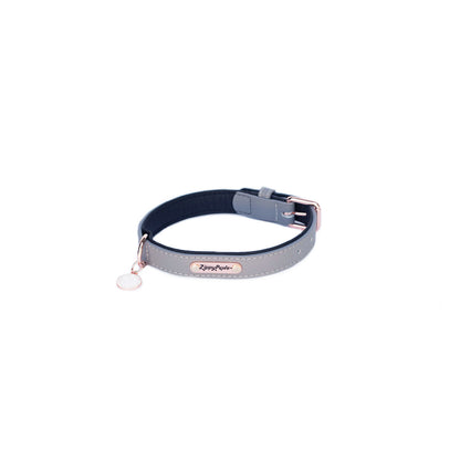 Vivid Collection Collar - Slate Medium by Zippy Paws