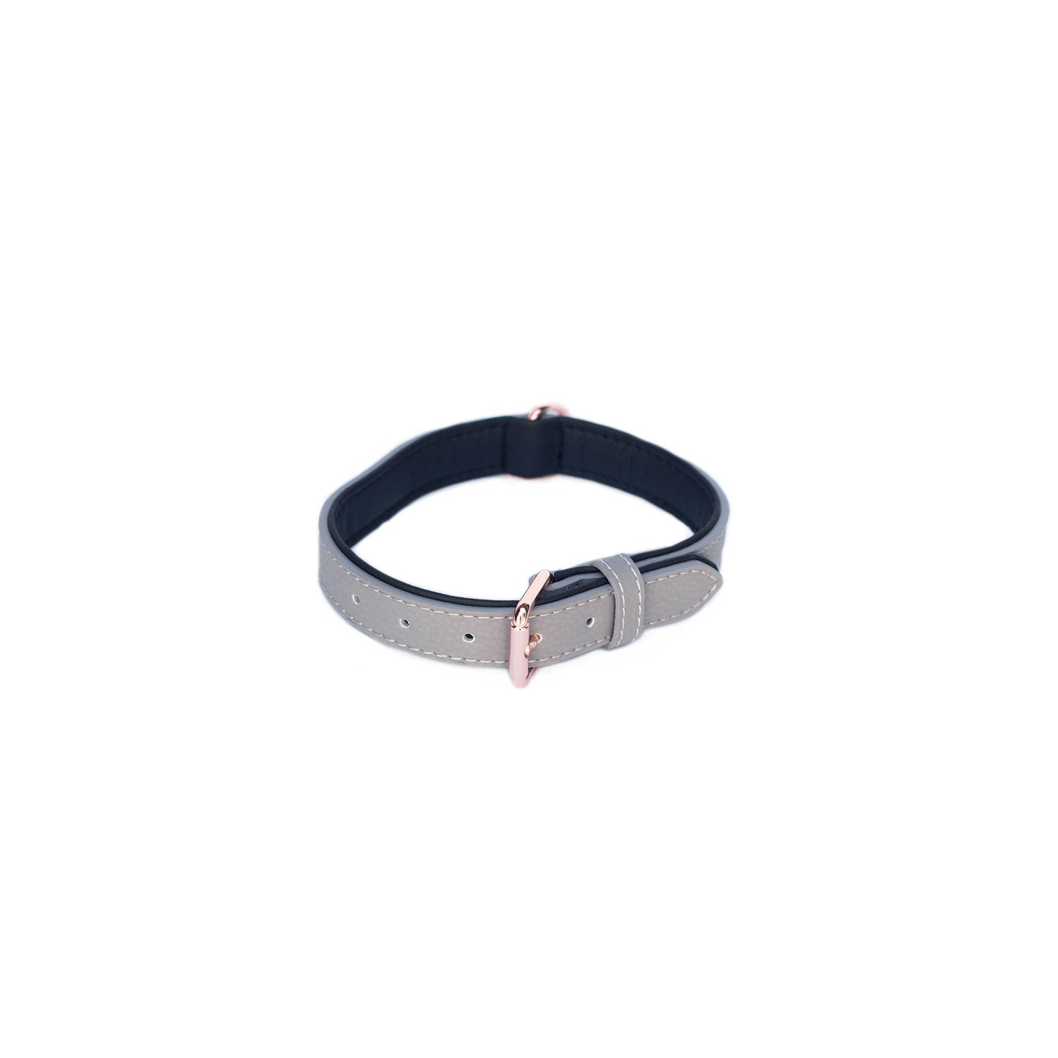 Vivid Collection Collar - Slate Medium by Zippy Paws