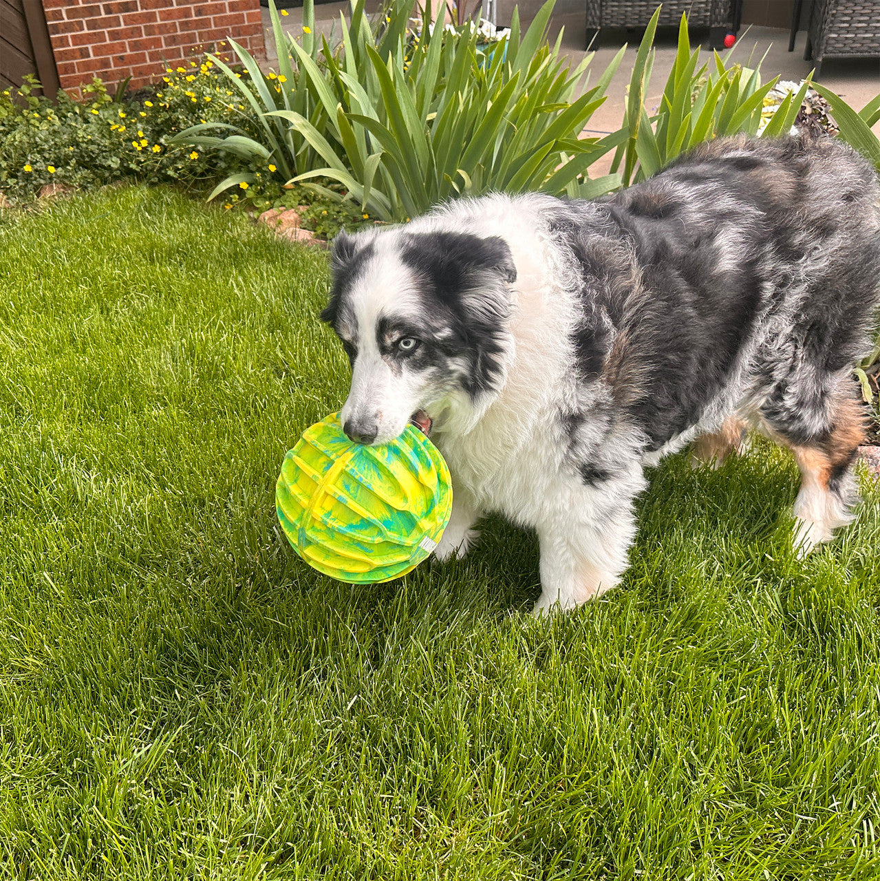 KONG Flexball Sport Ball X-Large