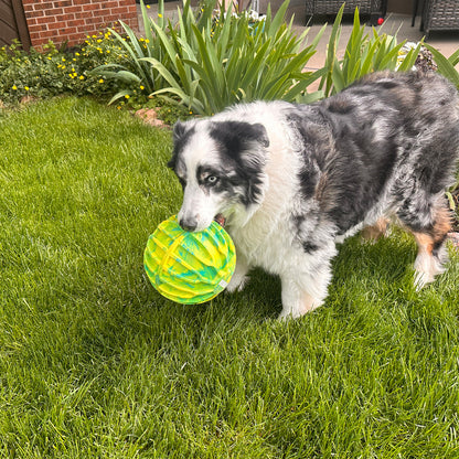 KONG Flexball Sport Ball X-Large