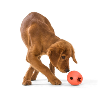 West Paw Rumbl Treat Dispensing Dog Toy - Guaranteed Tough